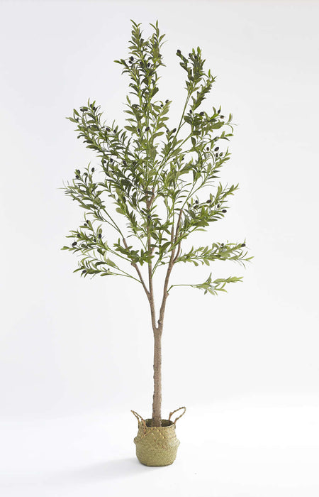PLANTE ARTIFICIELLE OLIVIER PANIER TRESSÉ EN ALGUES INCLUS 210CM - image 1