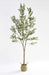 PLANTE ARTIFICIELLE OLIVIER PANIER TRESSÉ EN ALGUES INCLUS 210CM - image 1