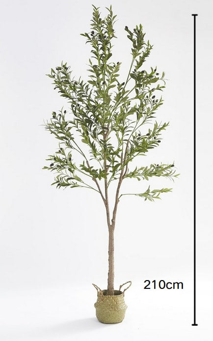 PLANTE ARTIFICIELLE OLIVIER PANIER TRESSÉ EN ALGUES INCLUS 210CM - image 2