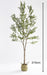 PLANTE ARTIFICIELLE OLIVIER PANIER TRESSÉ EN ALGUES INCLUS 210CM - image 2