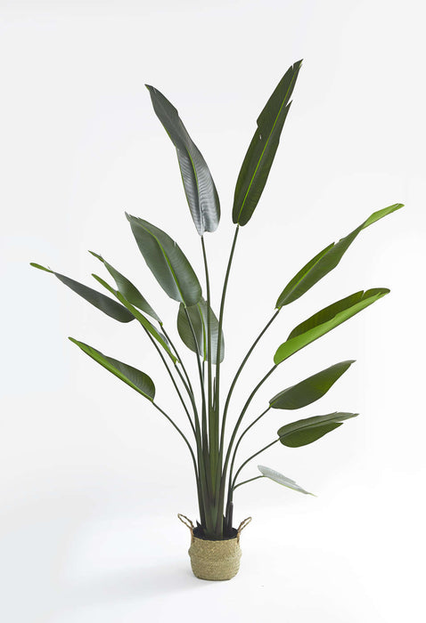 PLANTE ARTIFICIELLE STRELITZIA OISEAU DE PARADIS PANIER TRESSÉ EN ALGUES INCLUS 210CM - image 1