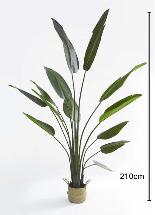 PLANTE ARTIFICIELLE STRELITZIA OISEAU DE PARADIS PANIER TRESSÉ EN ALGUES INCLUS 210CM - image 2